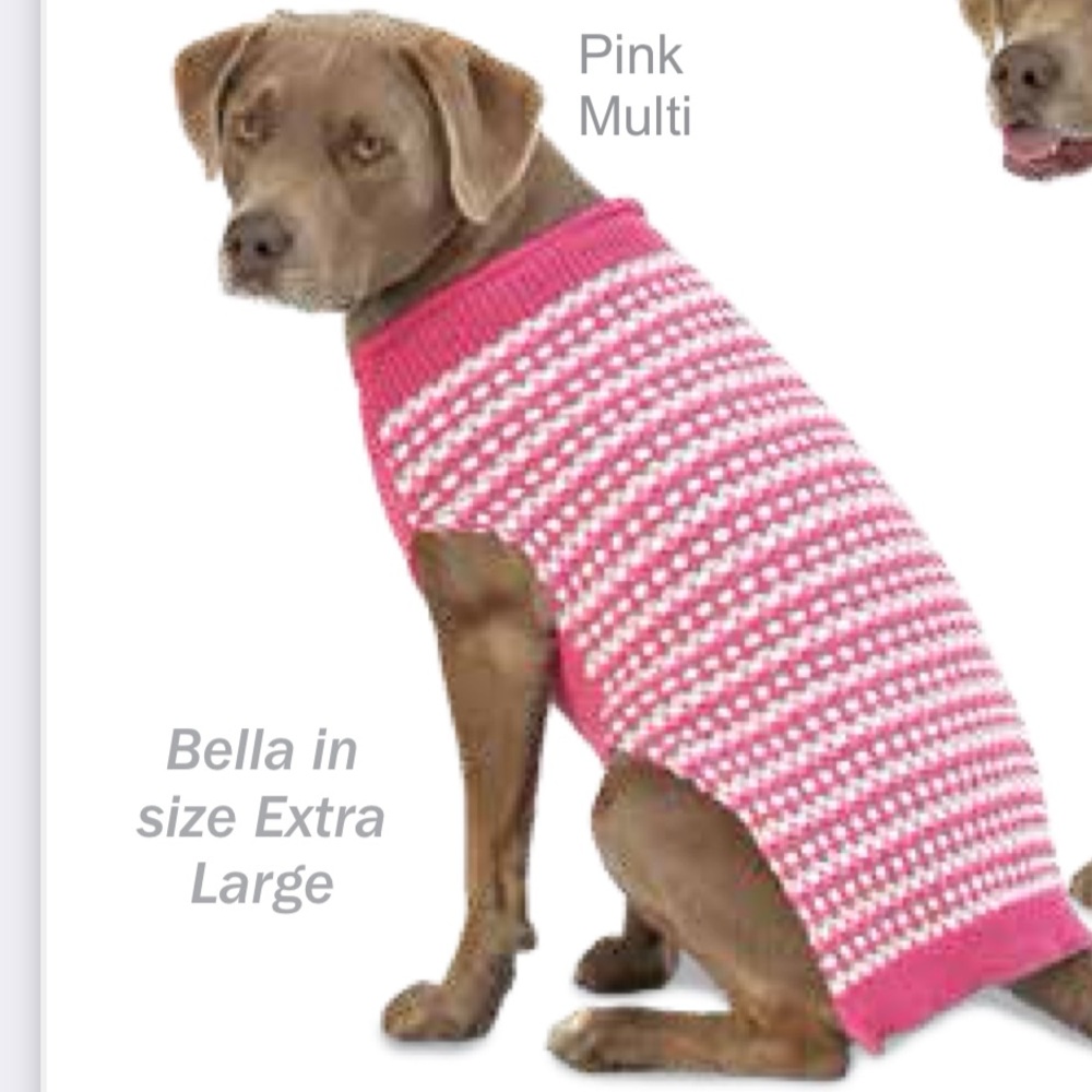 Petrageous pink dog sweater